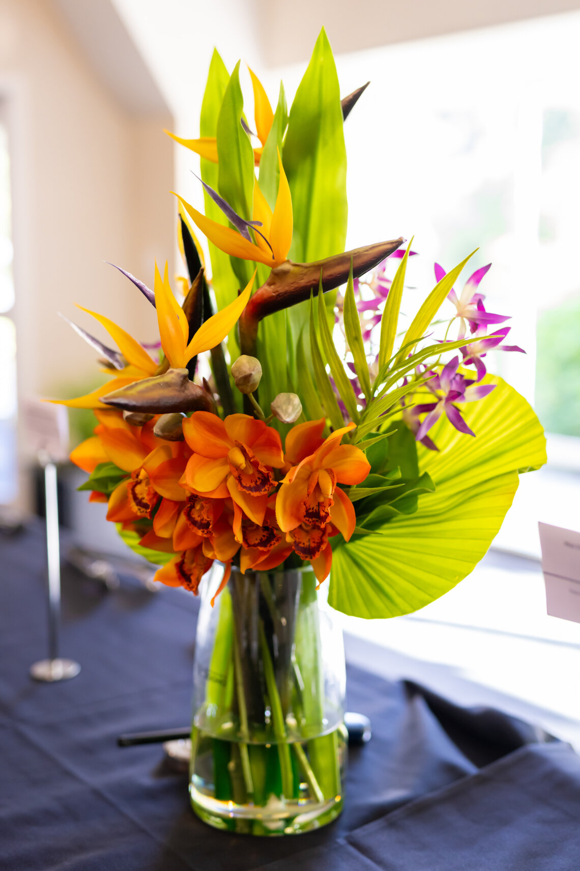 017_NZNFS_Awards_7Dec2023_3600px