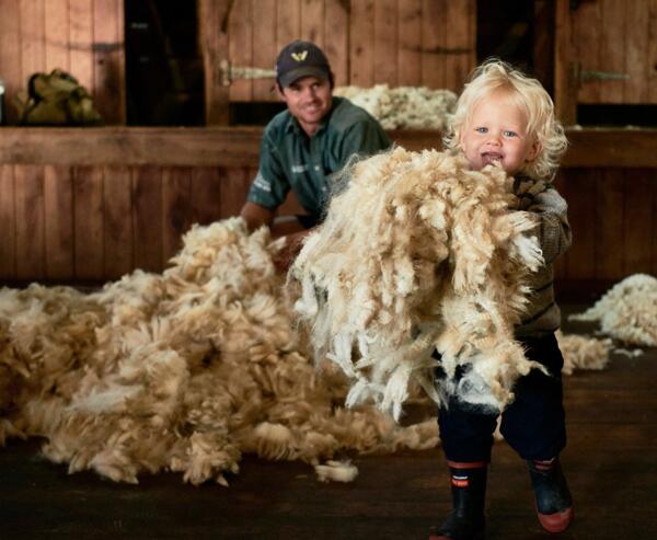 Fieldays® Sector Spotlight – It’s Wool