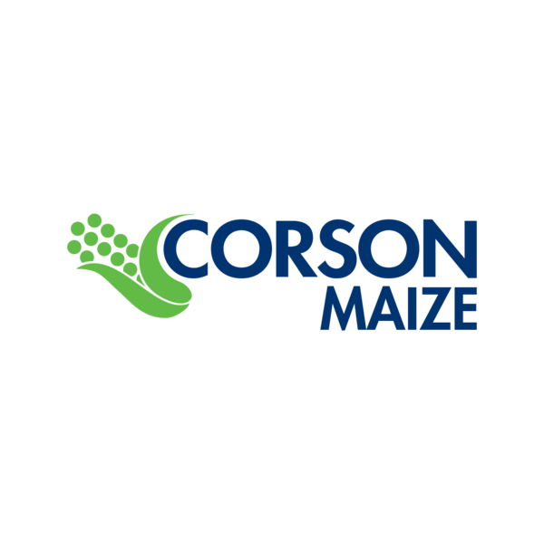 Corson Maize