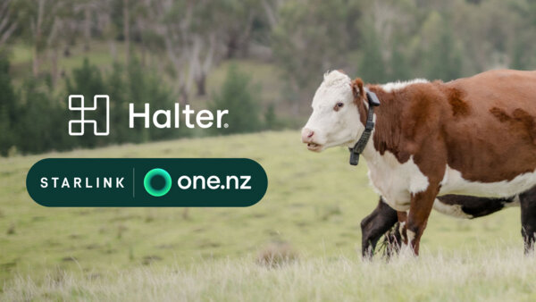 One NZ Satellite expands Halter rural connectivity
