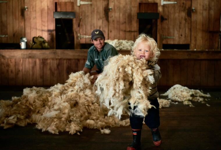 WiseWool image