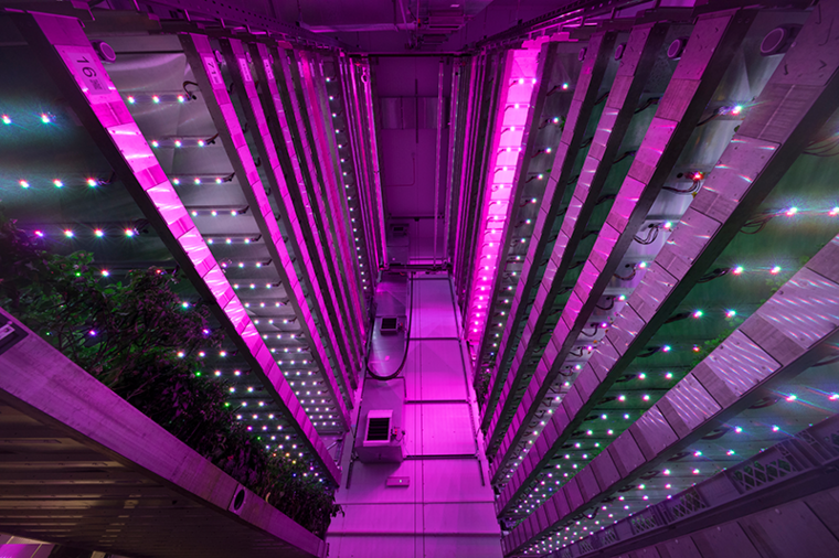 IGS-Vertical-Farming