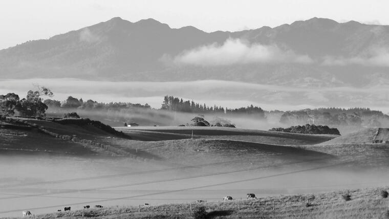 The New Zealand National Fieldays Society&rsquo;s&nbsp;history