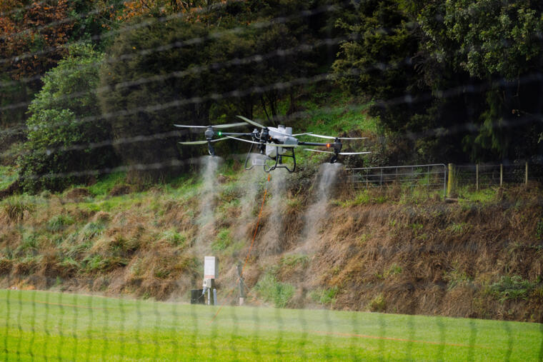 Experience it firsthand