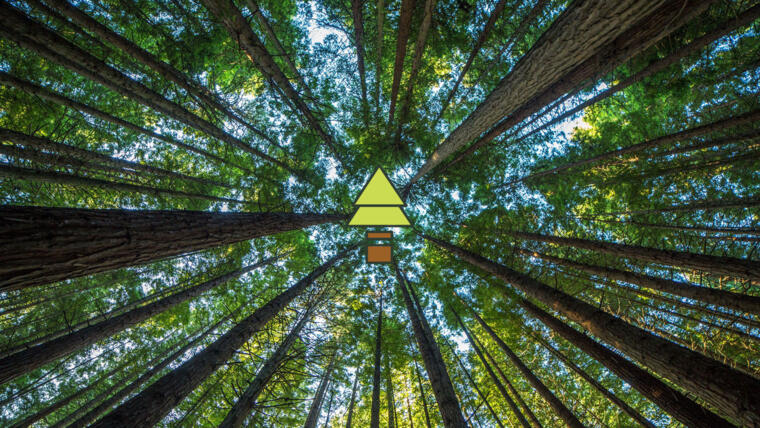 forestry_16x9_1