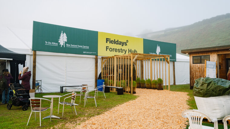 prospectus_forestry_hub_4