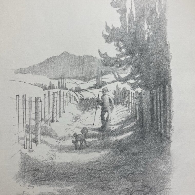 Sketch_back of man walking with dog_CROPPED SQ